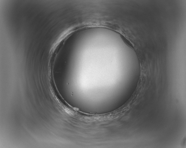 X0000056350005200509091608