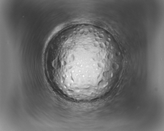 X0000056350006200509091608