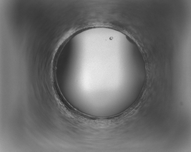 X0000056350008200509091608