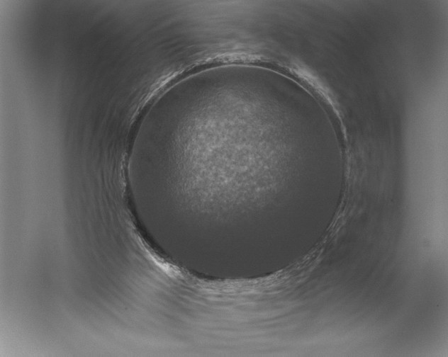 X0000056350009200509091608