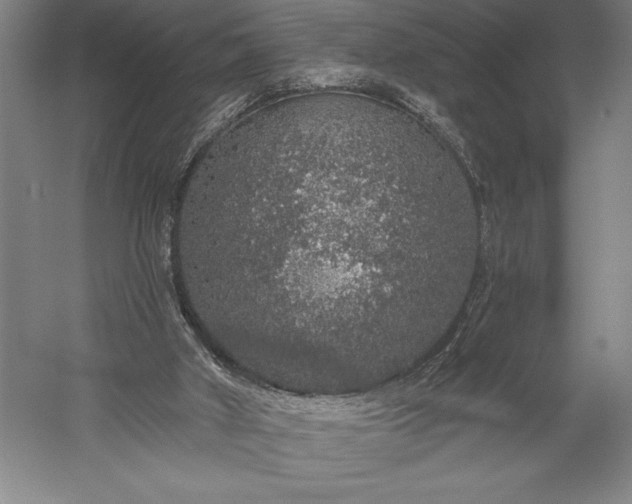 X0000056350010200509091608