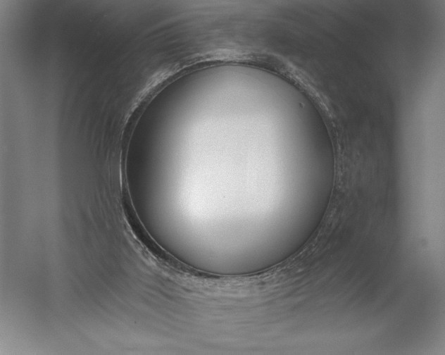 X0000056350011200509091608