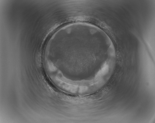 X0000056350012200509091608