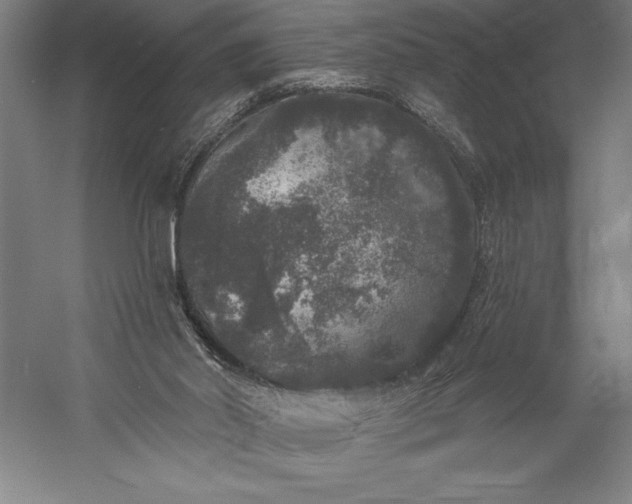 X0000056350014200509091608