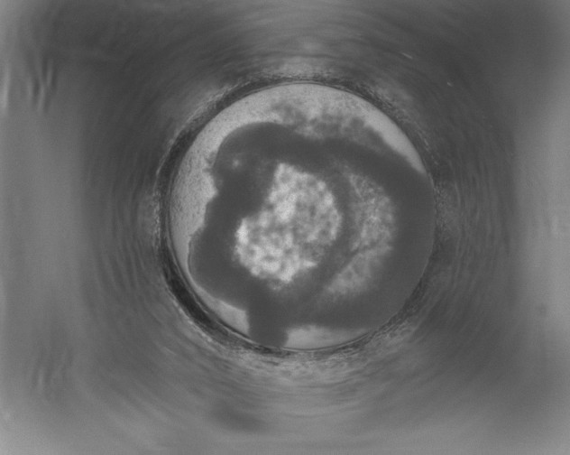 X0000056350016200509091608