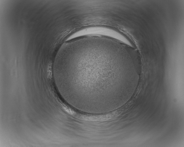 X0000056350017200509091608