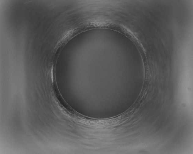 X0000056350019200509091608