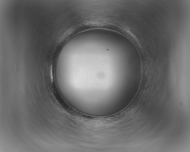 X0000056350020200509091608