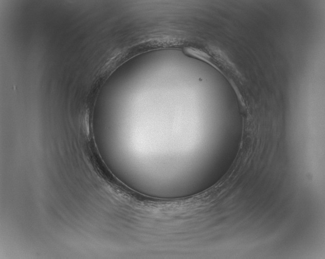 X0000056350021200509091608