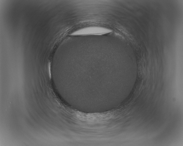 X0000056350022200509091608