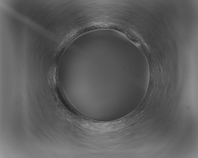 X0000056350023200509091608