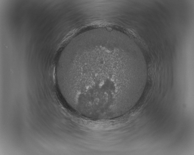 X0000056350024200509091608