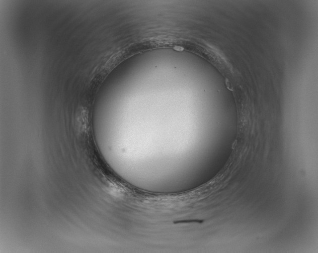 X0000056350025200509091608