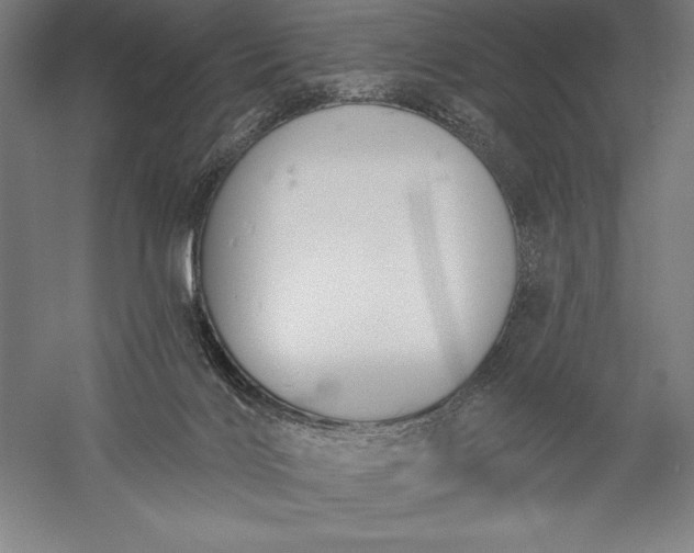 X0000056350028200509091608