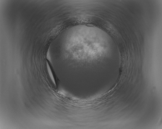 X0000056350029200509091608