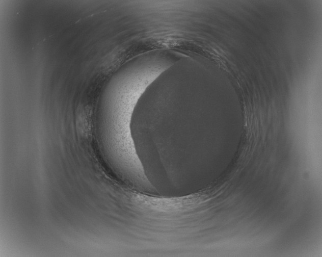 X0000056350030200509091608