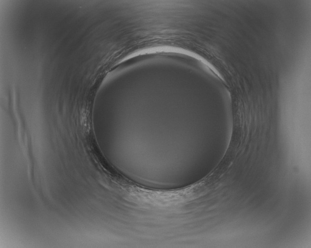 X0000056350031200509091608