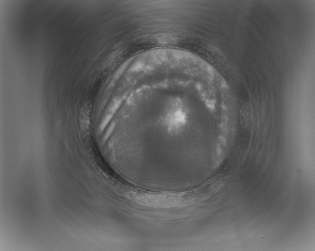 X0000056350032200509091608