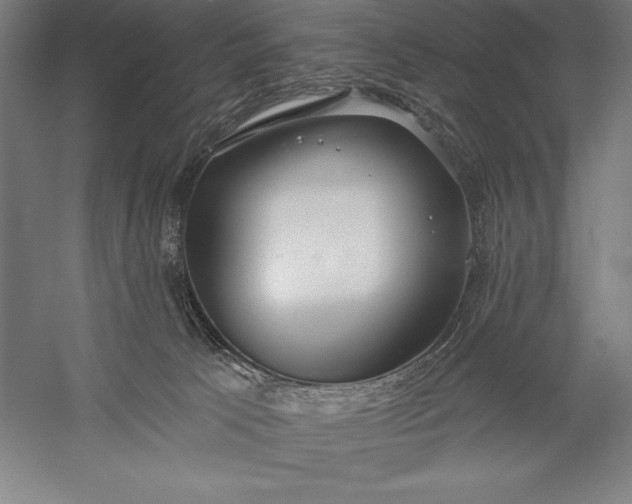 X0000056350033200509091608