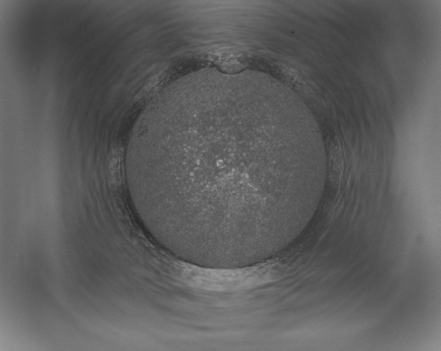 X0000056350034200509091608