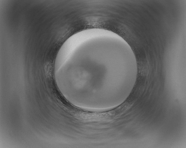 X0000056350036200509091608