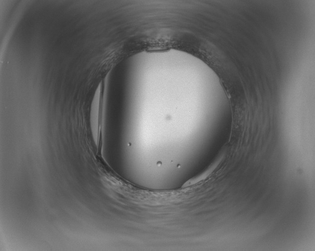 X0000056350037200509091608