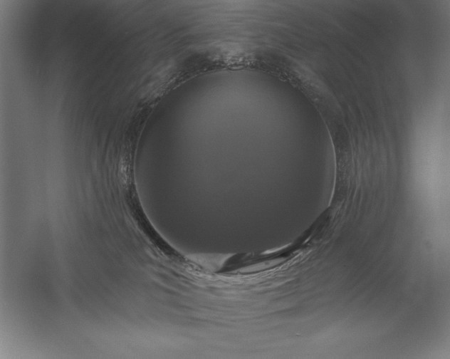 X0000056350039200509091608