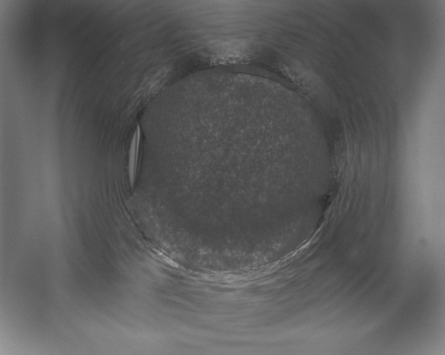 X0000056350041200509091608