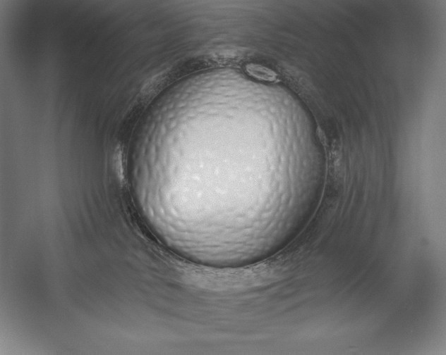 X0000056350042200509091608