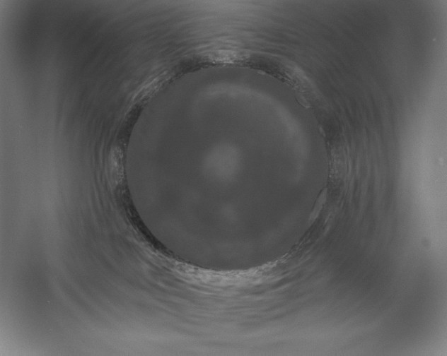 X0000056350043200509091608