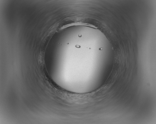 X0000056350044200509091608