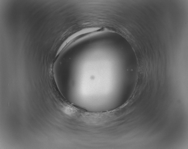 X0000056350045200509091608