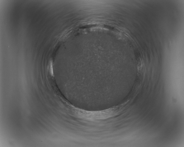 X0000056350046200509091608