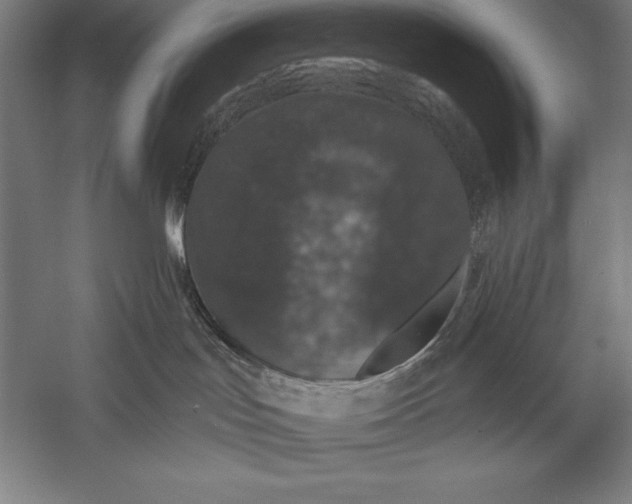 X0000056350047200509091608