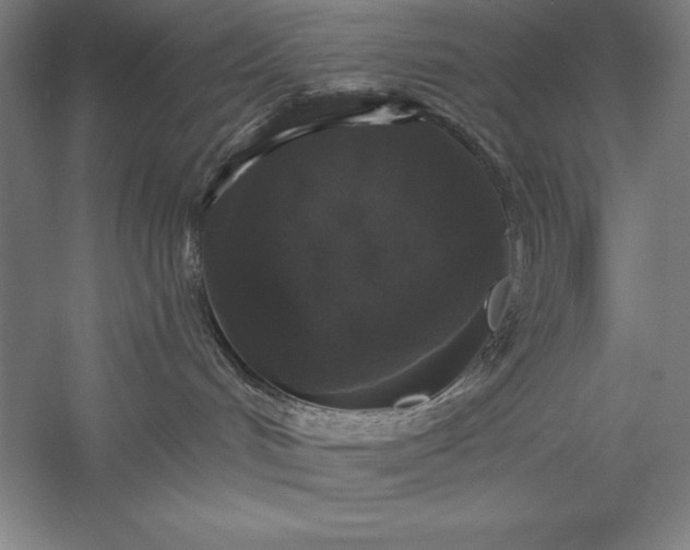 X0000056350048200509091608