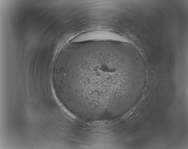 X0000056350049200509091607