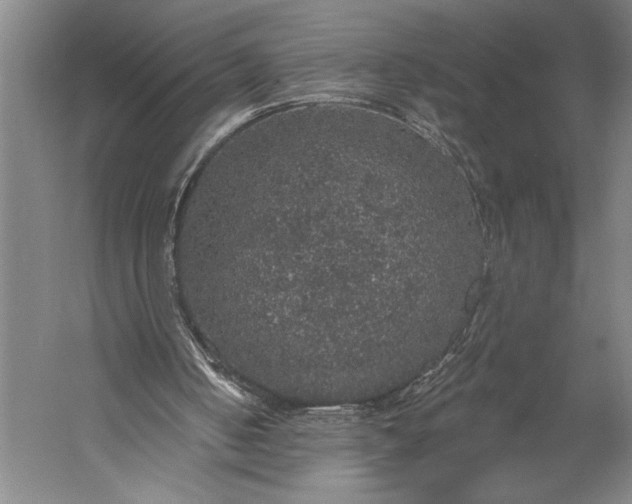 X0000056350050200509091607