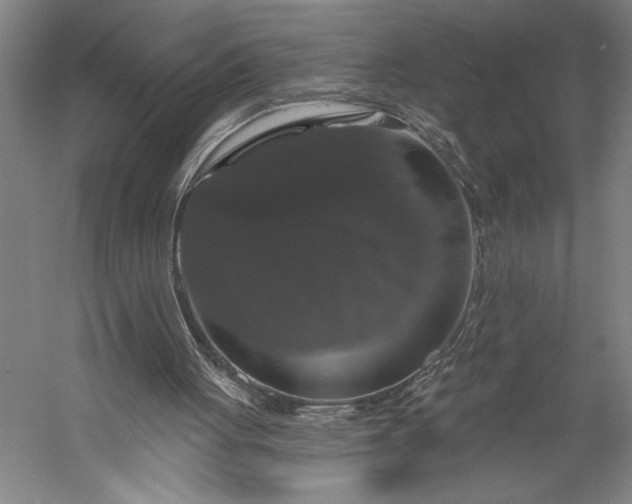 X0000056350051200509091607