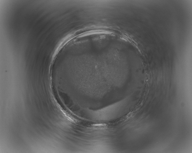 X0000056350053200509091607