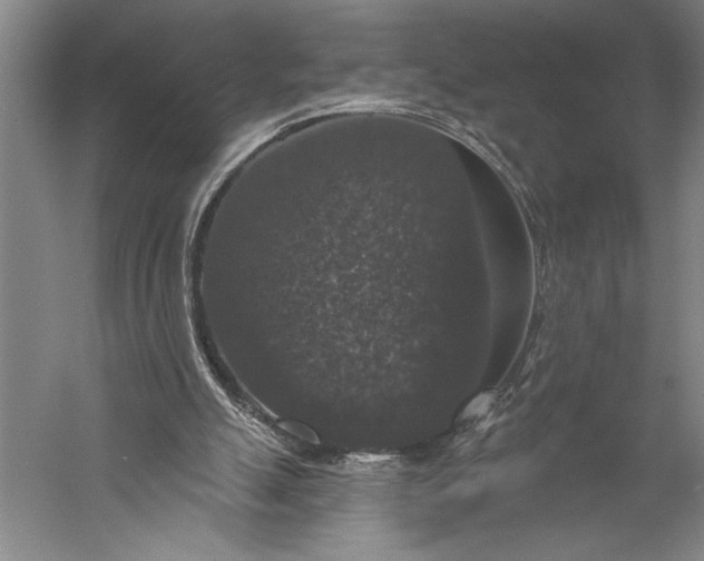 X0000056350055200509091607