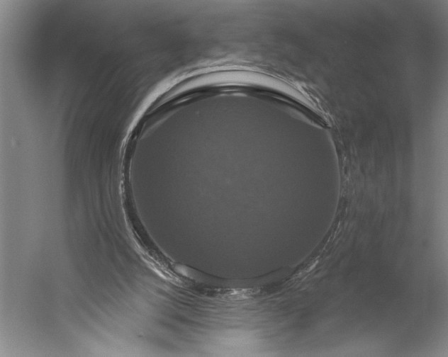 X0000056350056200509091607