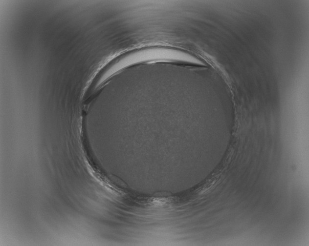 X0000056350060200509091607