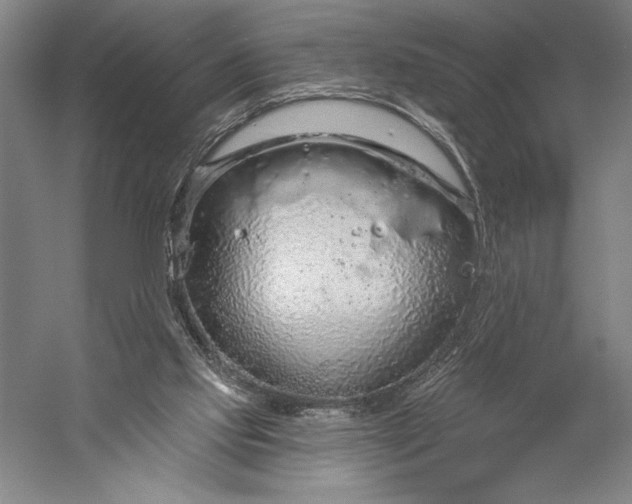 X0000056350061200509091607