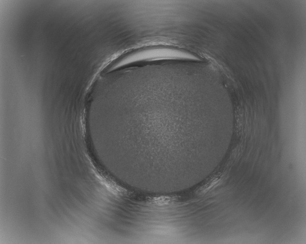 X0000056350064200509091607