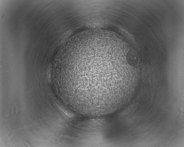 X0000056350065200509091607