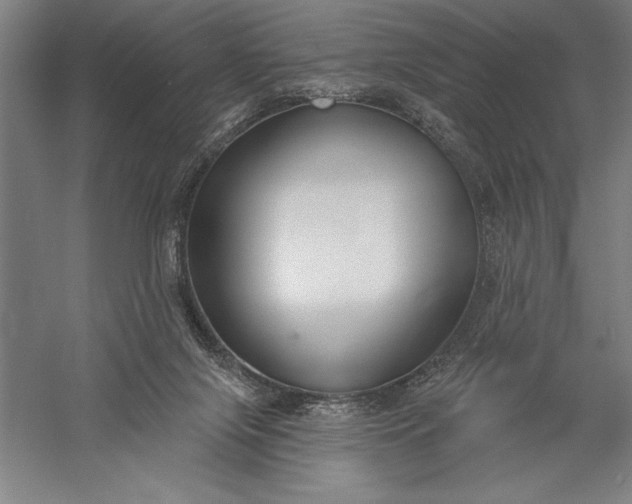 X0000056350071200509091607