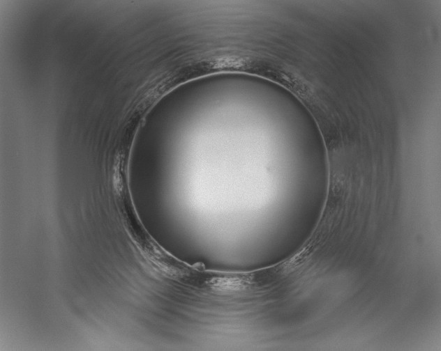 X0000056350074200509091607