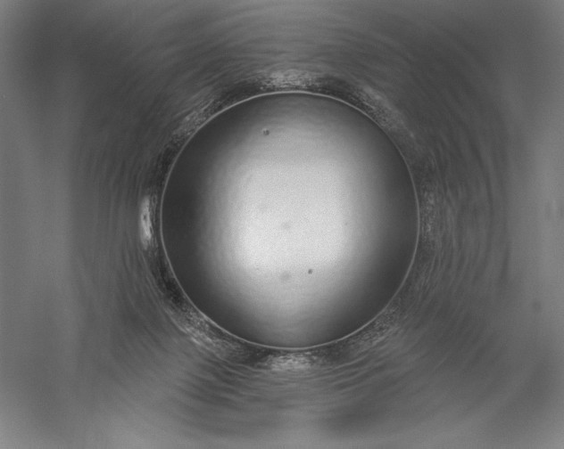 X0000056350075200509091607