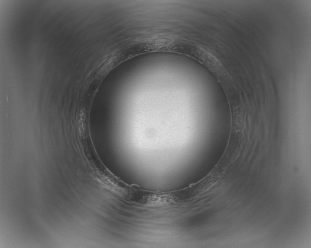 X0000056350077200509091607