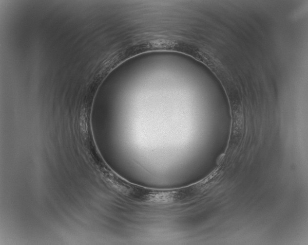 X0000056350078200509091607